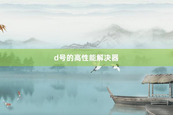 d号的高性能解决器