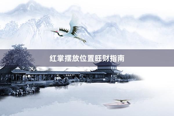 红掌摆放位置旺财指南