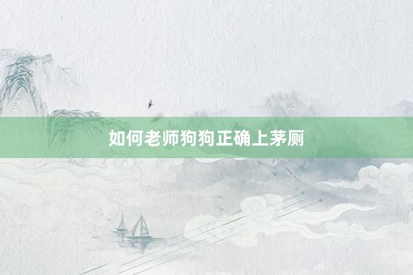 如何老师狗狗正确上茅厕